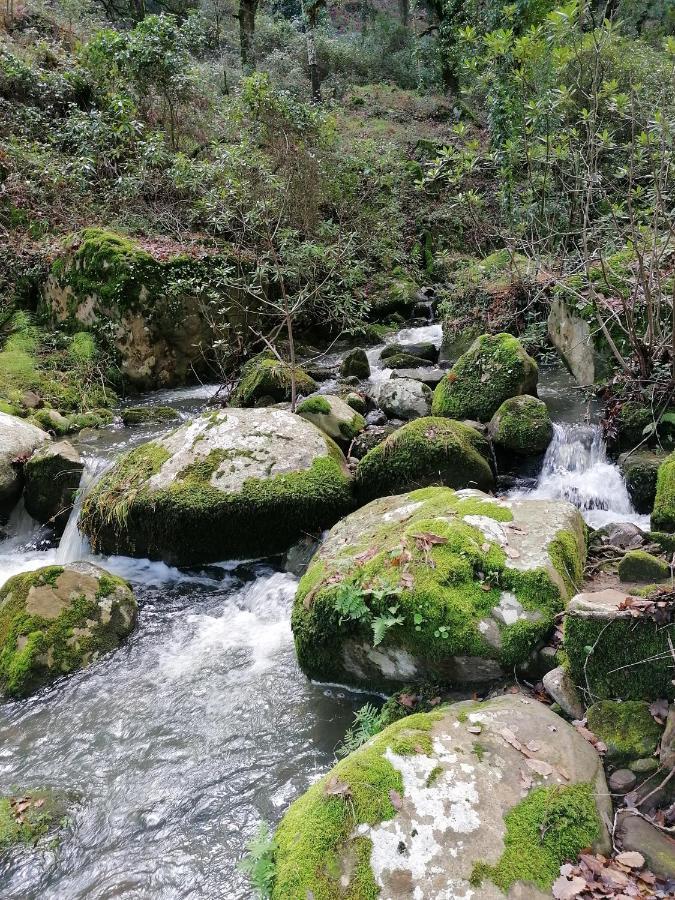 Casa Quercus Con Piscina Privada Apartman Cortes de la Frontera Kültér fotó