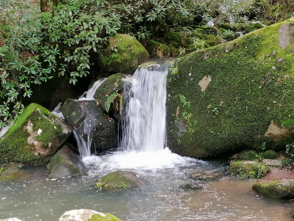 Casa Quercus Con Piscina Privada Apartman Cortes de la Frontera Kültér fotó