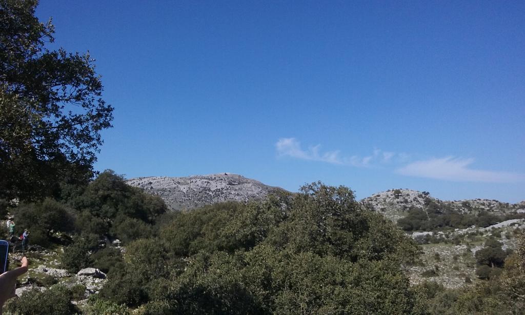 Casa Quercus Con Piscina Privada Apartman Cortes de la Frontera Kültér fotó